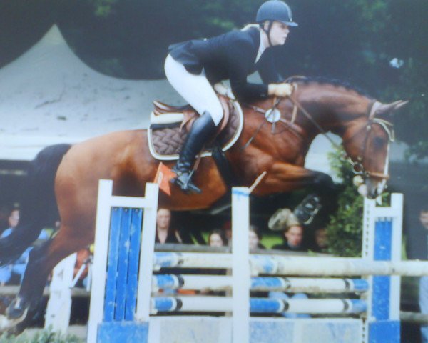 jumper Greenback 2 (Hanoverian, 1998, from Graf Grannus)