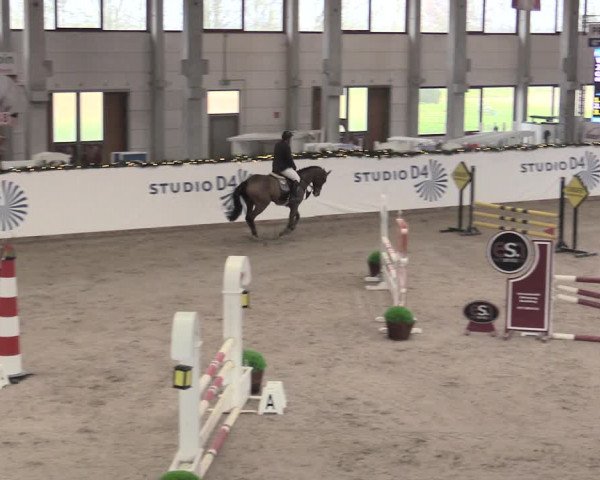 Reitturnier Prussendorf 2023