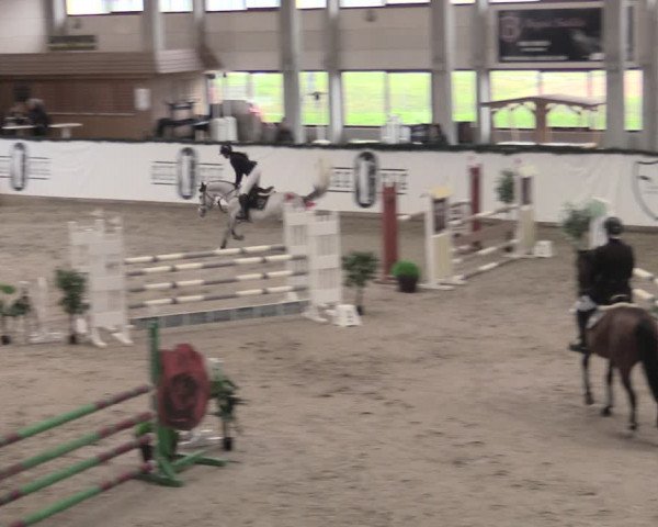 Reitturnier Prussendorf 2023