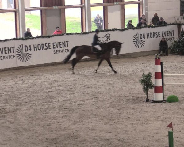 Reitturnier Prussendorf 2023