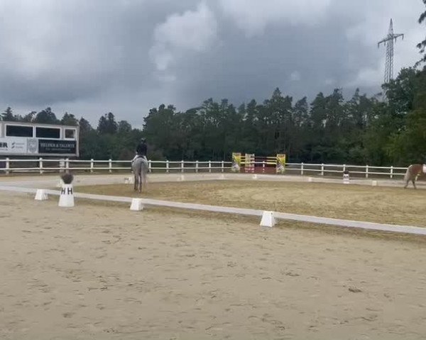 Video von Abella