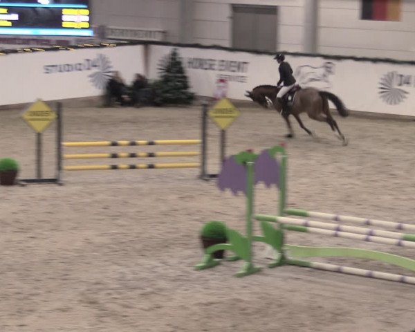 Reitturnier Prussendorf 2023
