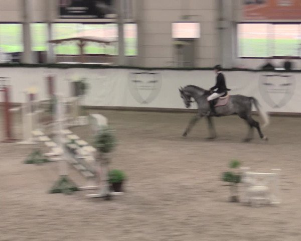Reitturnier Prussendorf 2023