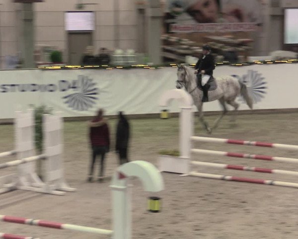 Reitturnier Prussendorf 2023