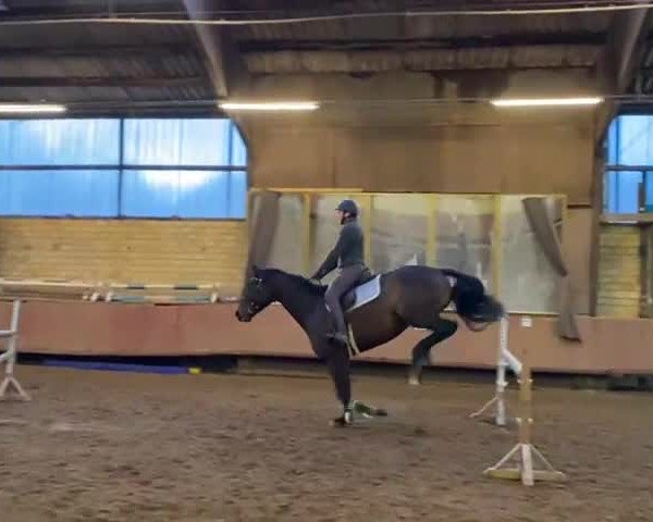Video of Vallander