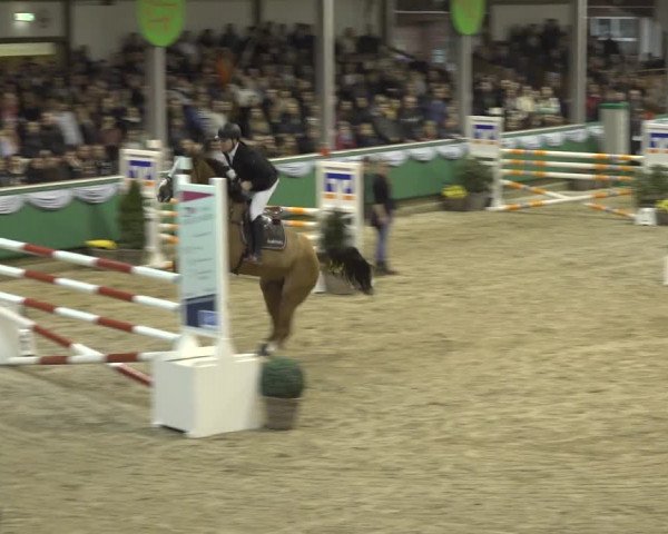 Reitturnier Gahlen 2023