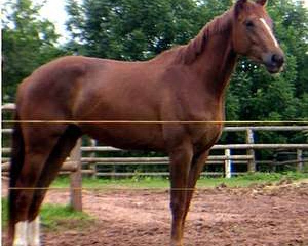 broodmare Franziska (Westphalian, 2003, from Florestan I)