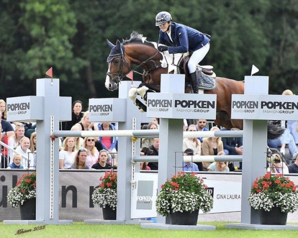 stallion Lenny 81 (Oldenburg show jumper, 2013, from Lord Pezi Junior)