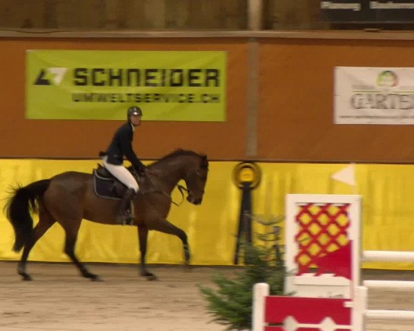 Reitturnier Dielsdorf 2023