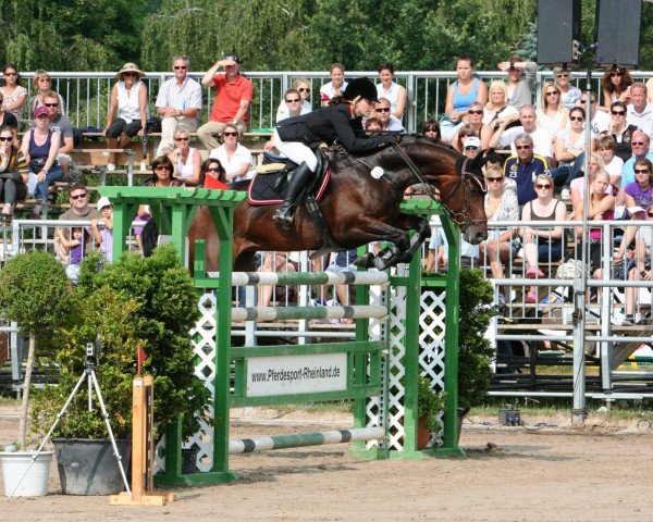 broodmare Weinfee Warna (Westphalian, 2000, from Weinzauber)