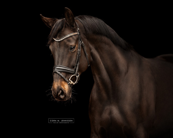 broodmare Asiatin 5 (Oldenburg, 2014, from Destano)