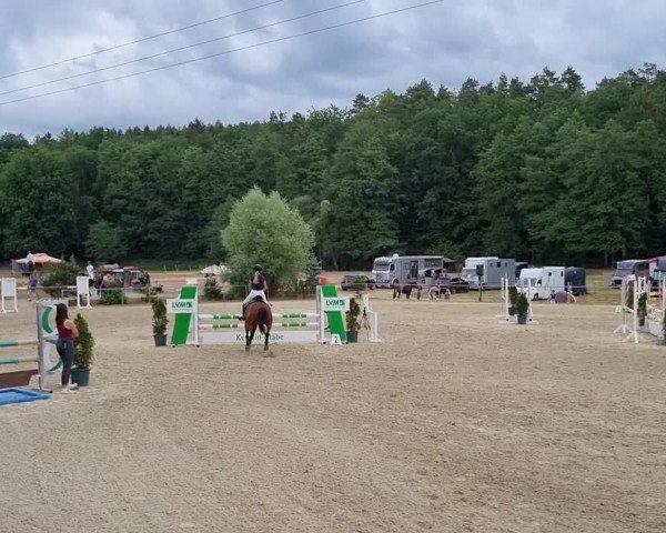 Reitturnier Bad Liebenstein/Sorga 2022