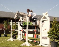 jumper Henry (Holsteiner, 2001, from Heraldik xx)