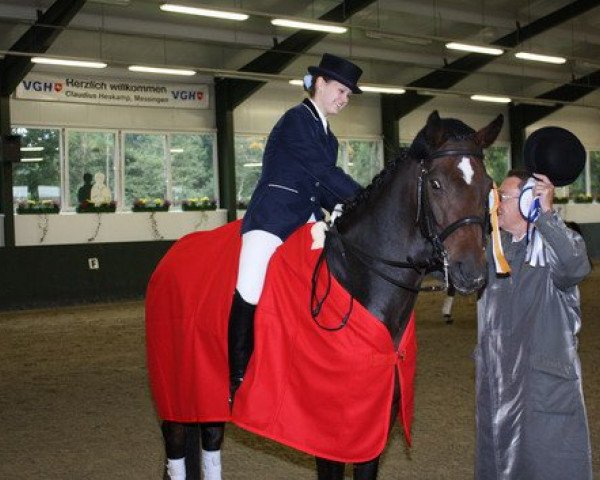 Dressurpferd Daytona Donner (Westfale, 2001, von Donnerruf)