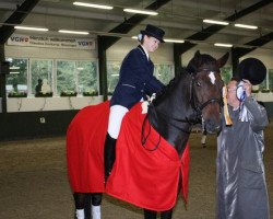 dressage horse Daytona Donner (Westphalian, 2001, from Donnerruf)