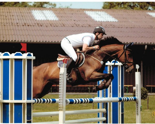 broodmare MPS Funky Town (Brandenburg, 1993, from Frühlingsbote)