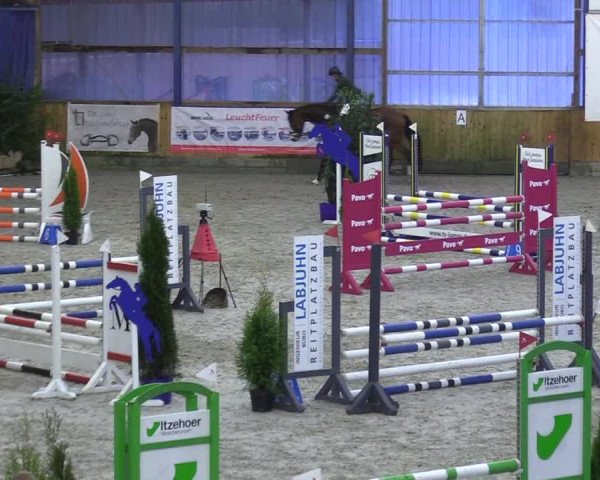 Reitturnier Großenwiehe 2023
