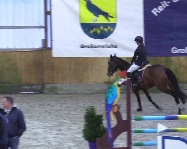 Reitturnier Großenwiehe 2023
