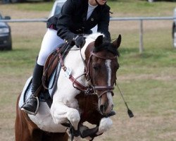 jumper Störtebecker 4 (German Riding Pony, 1993, from Sando Paso N)