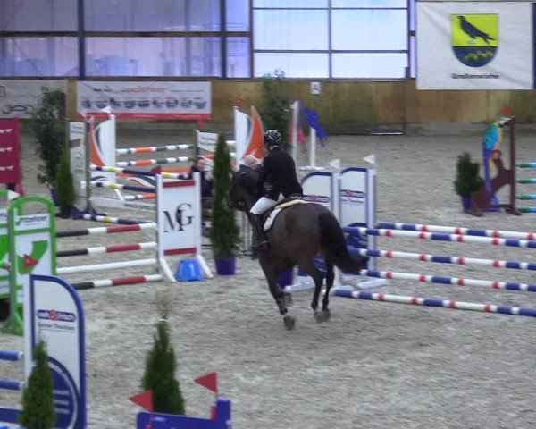 Reitturnier Großenwiehe 2023