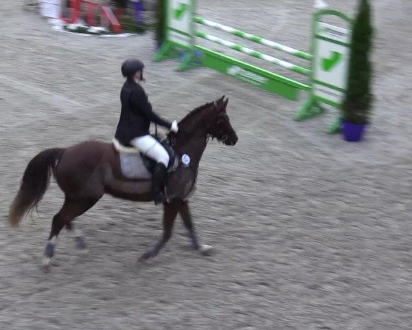 Reitturnier Großenwiehe 2023