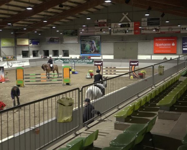 Reitturnier Luhmühlen 2023