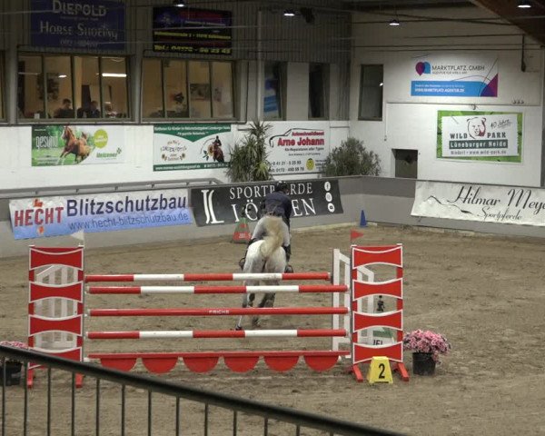 Reitturnier Luhmühlen 2023