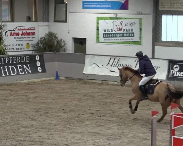Reitturnier Luhmühlen 2023