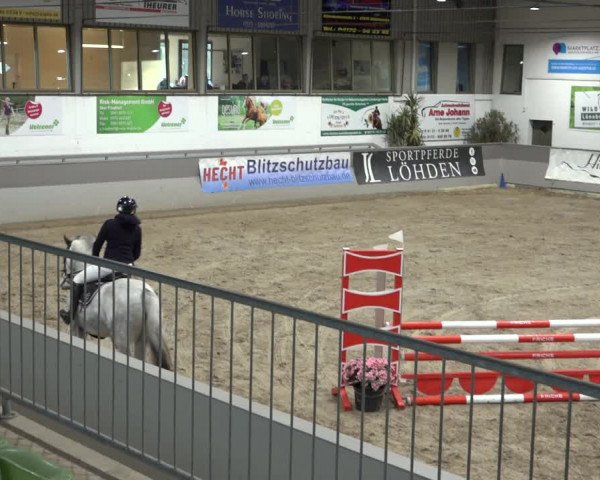 Reitturnier Luhmühlen 2023