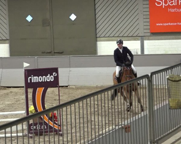 Reitturnier Luhmühlen 2023