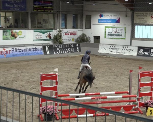 Reitturnier Luhmühlen 2023