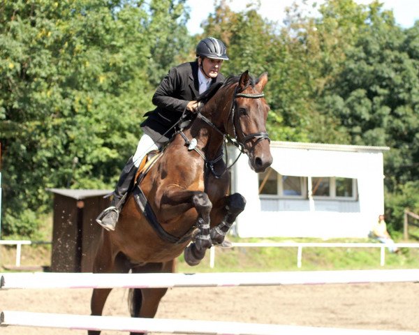 jumper Chantre 27 (Holsteiner, 2001, from Counter)