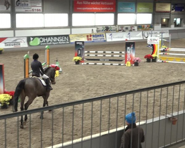 Reitturnier Luhmühlen 2023