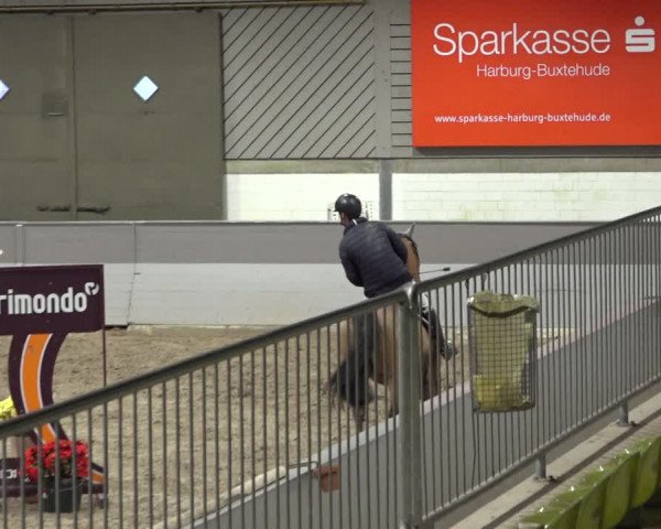 Reitturnier Luhmühlen 2023