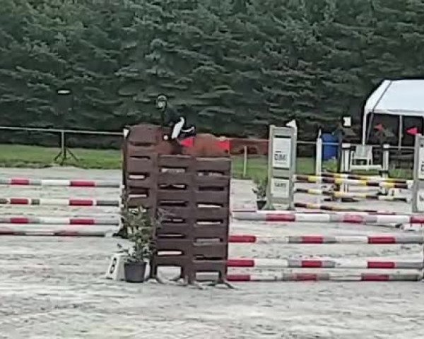 Reitturnier Pietzpuhl 2020