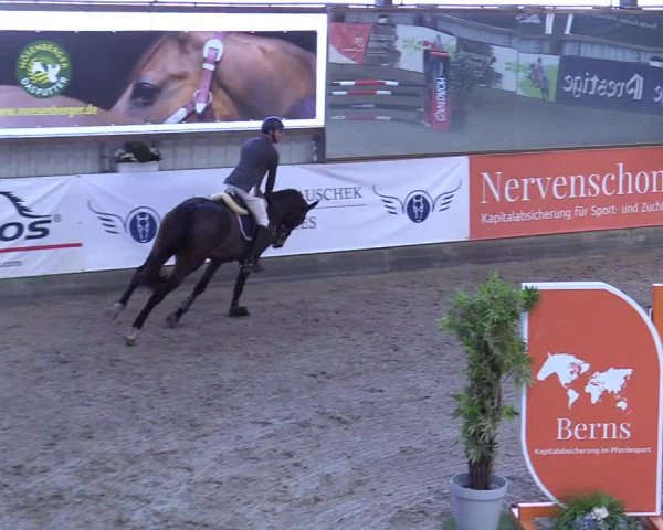 7. Nordic Jumping event Negernbötel 2023