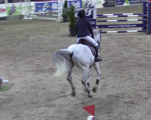 7. Nordic Jumping event Negernbötel 2023