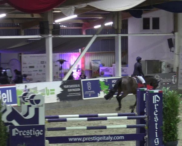 7. Nordic Jumping event Negernbötel 2023