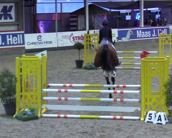 7. Nordic Jumping event Negernbötel 2023