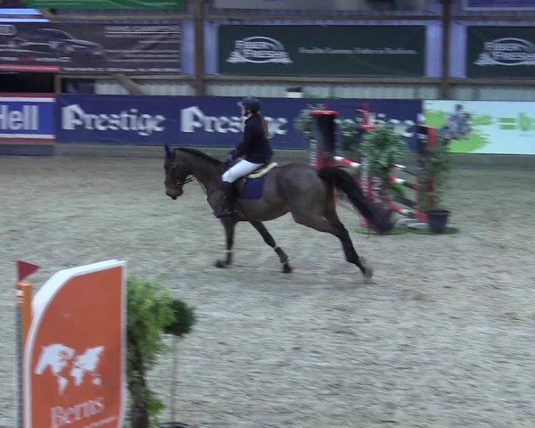 7. Nordic Jumping event Negernbötel 2023