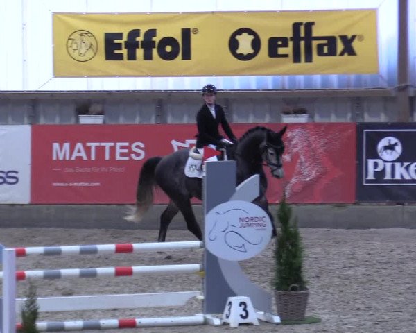 7. Nordic Jumping event Negernbötel 2023