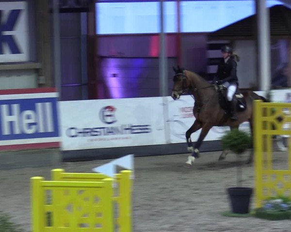 7. Nordic Jumping event Negernbötel 2023