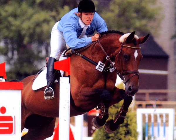 broodmare Santa Fee 098 (Hanoverian, 1993, from Sao Paulo)
