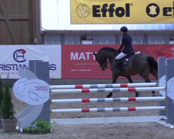 7. Nordic Jumping event Negernbötel 2023