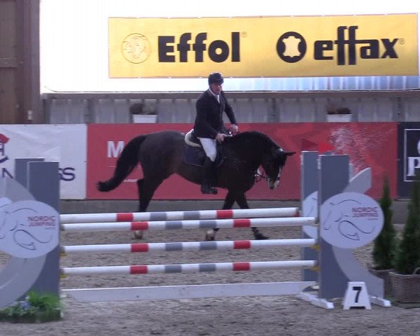 7. Nordic Jumping event Negernbötel 2023