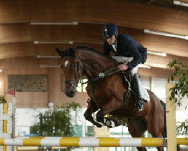 jumper Eyck 22 (Holsteiner, 2000, from Emetyt AA)
