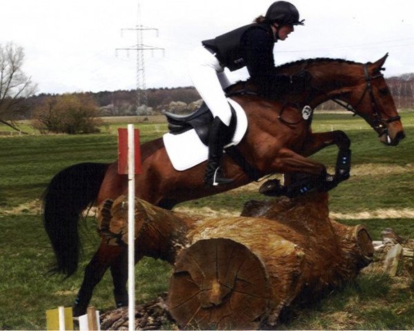 Springpferd Escorialblue (Holsteiner, 2001, von Emetyt AA)