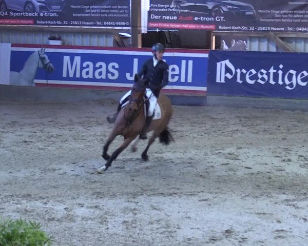 7. Nordic Jumping event Negernbötel 2023