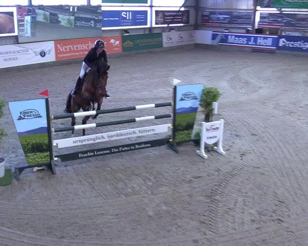 7. Nordic Jumping event Negernbötel 2023