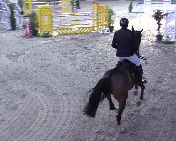 7. Nordic Jumping event Negernbötel 2023